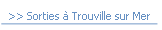 >> Sorties à Trouville sur Mer.