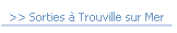 >> Sorties à Trouville sur Mer.